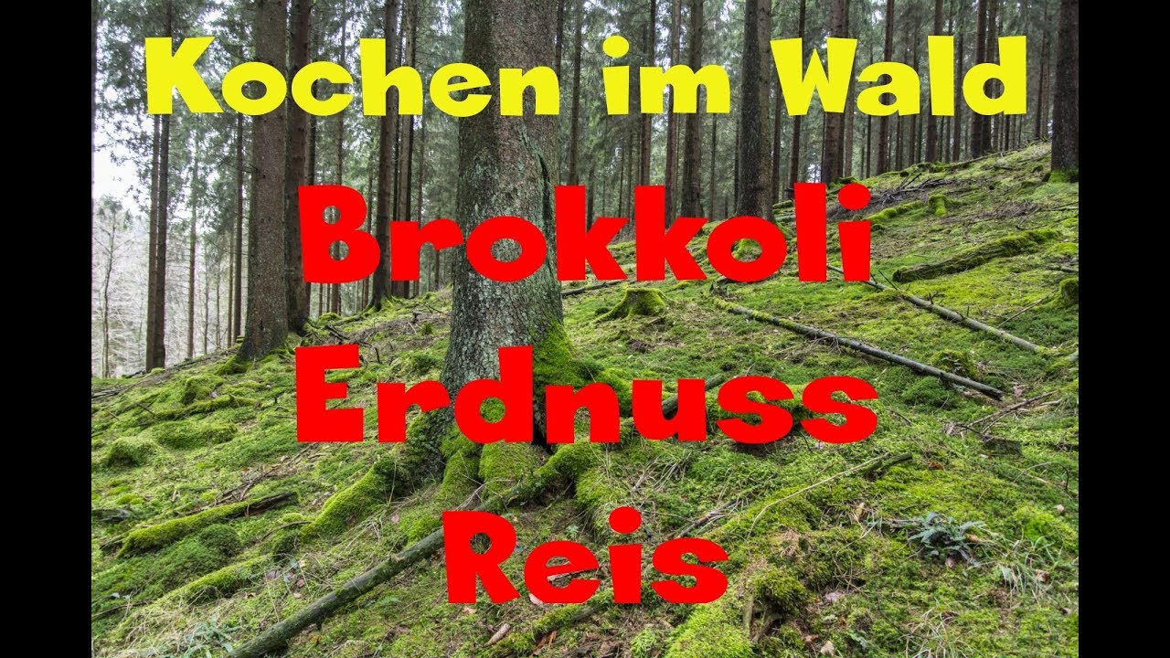 Kochen im Wald #11 [Brokkoli-Erdnuss-Reis]