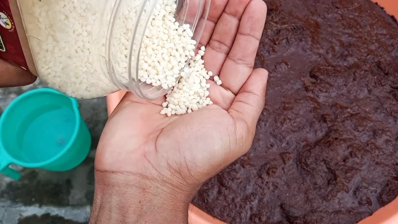 कोकोपीट इस्तेमाल करने से पहले उसमें ये जरूर मिलायें।
