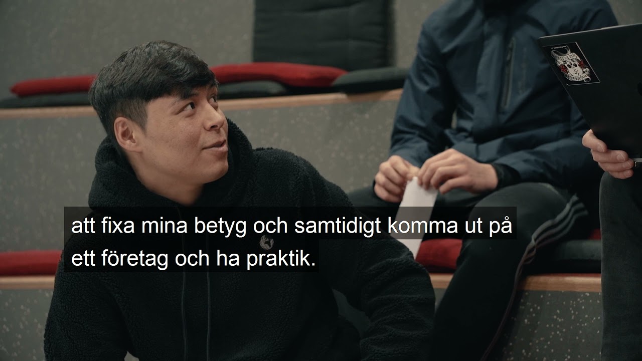 Introduktionsprogram