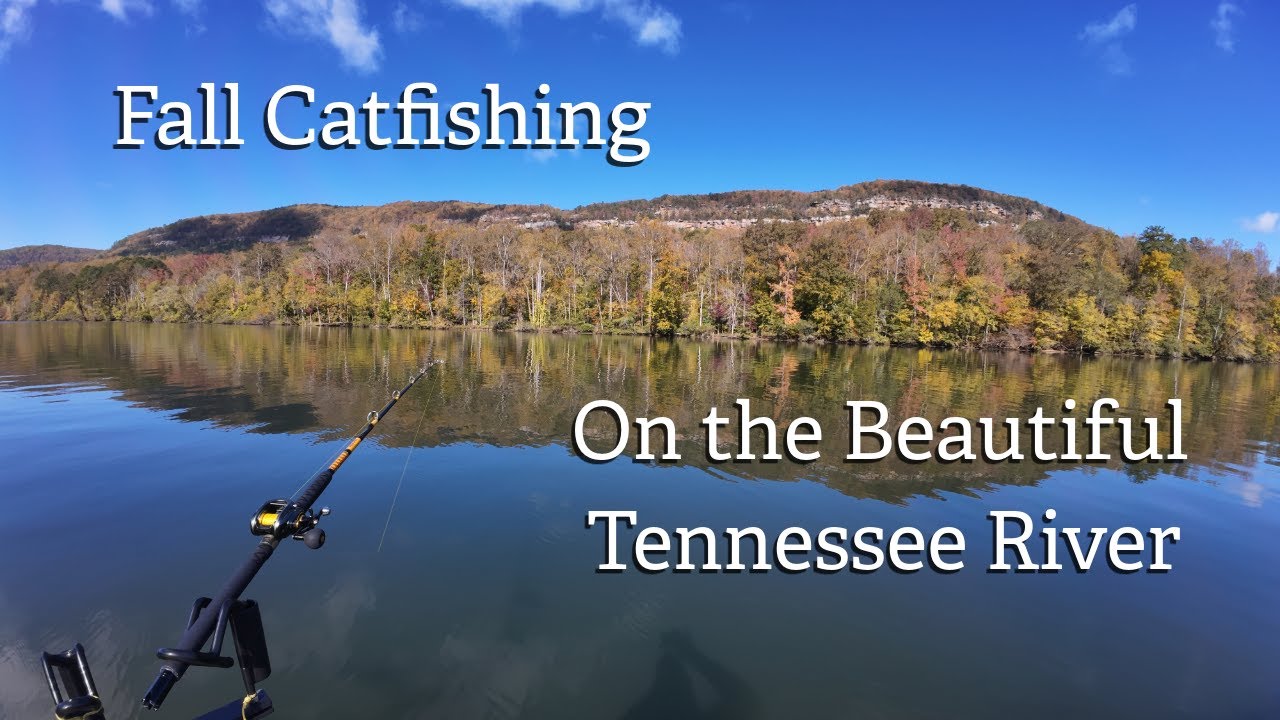 Fall Catfishing