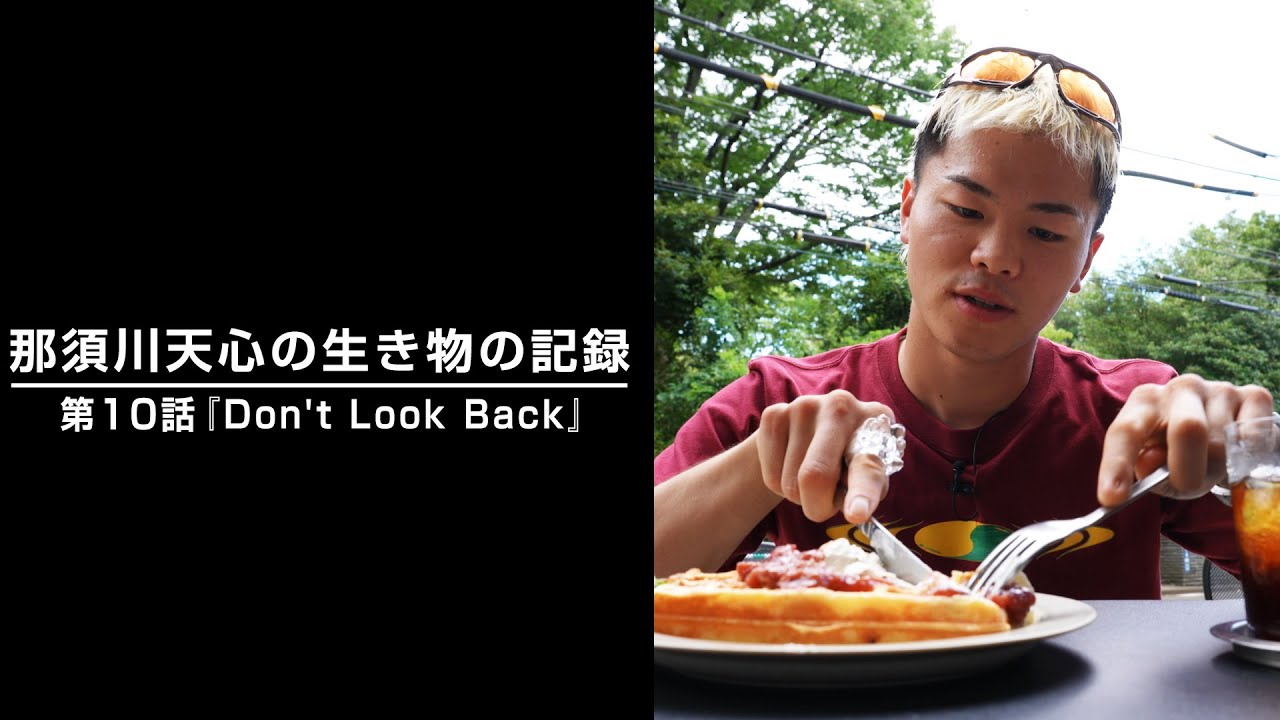那須川天心の生き物の記録　第10話 『Don't Look Back』