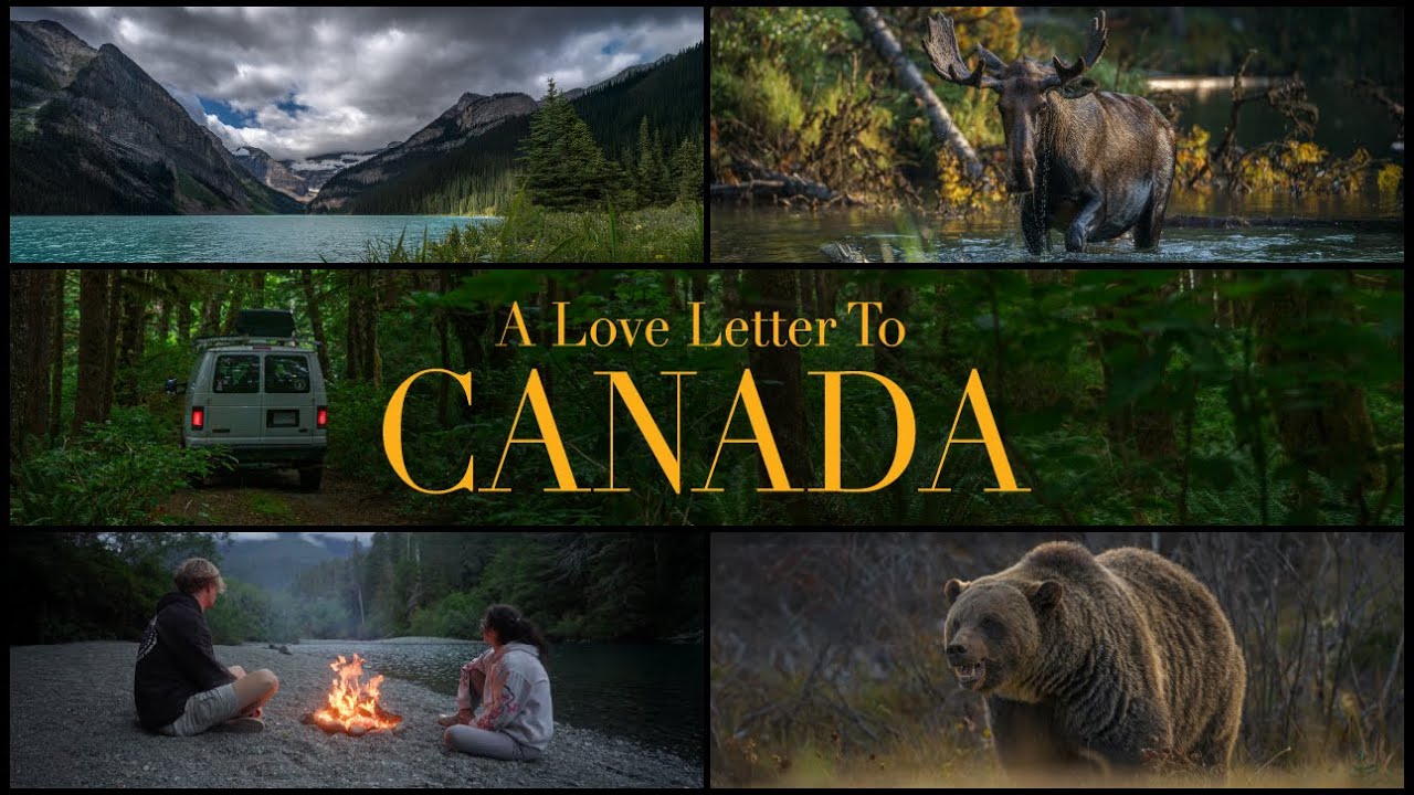 Van Life in Canada: One Year of Wildlife and Adventure