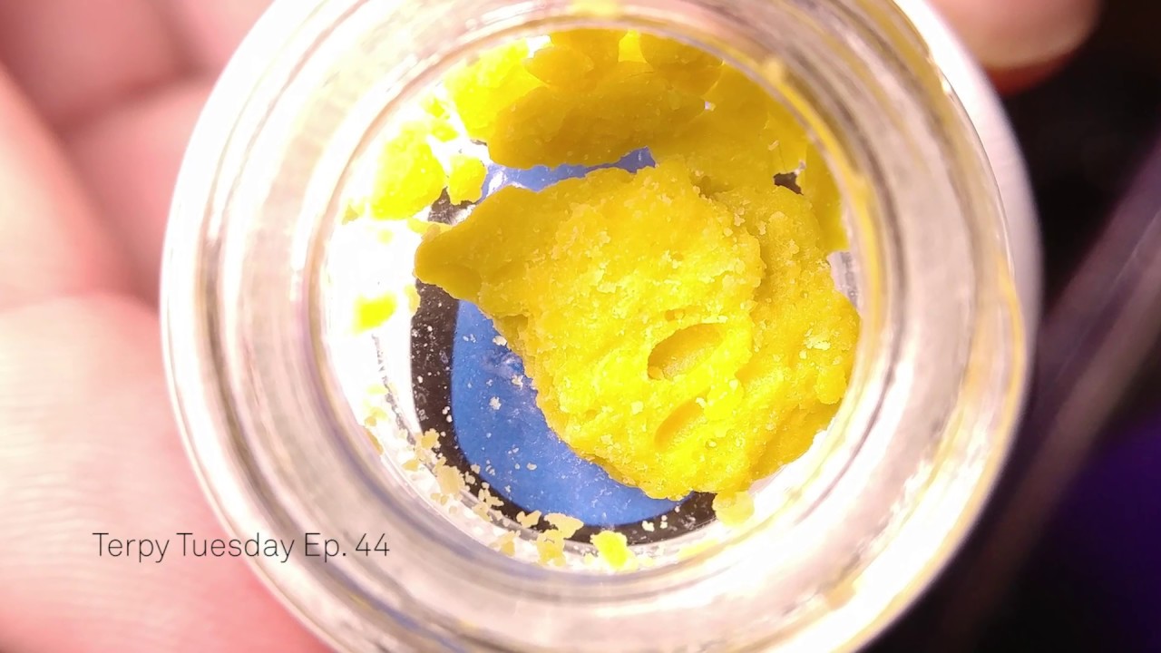 Dabblicious Crazy Pie: Terpy Tuesday Ep. 44