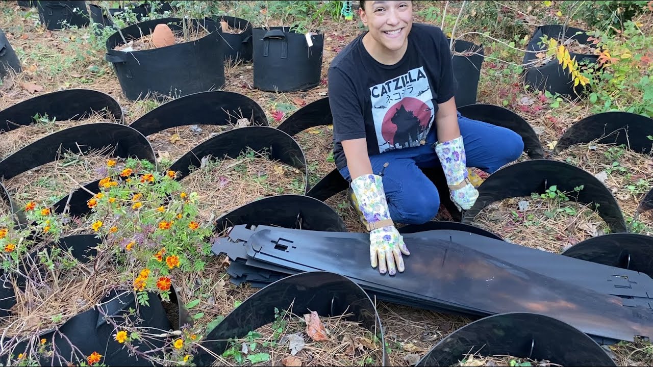 How to garden on a sloped backyard | The Dirt Locker Saga Ep. 03