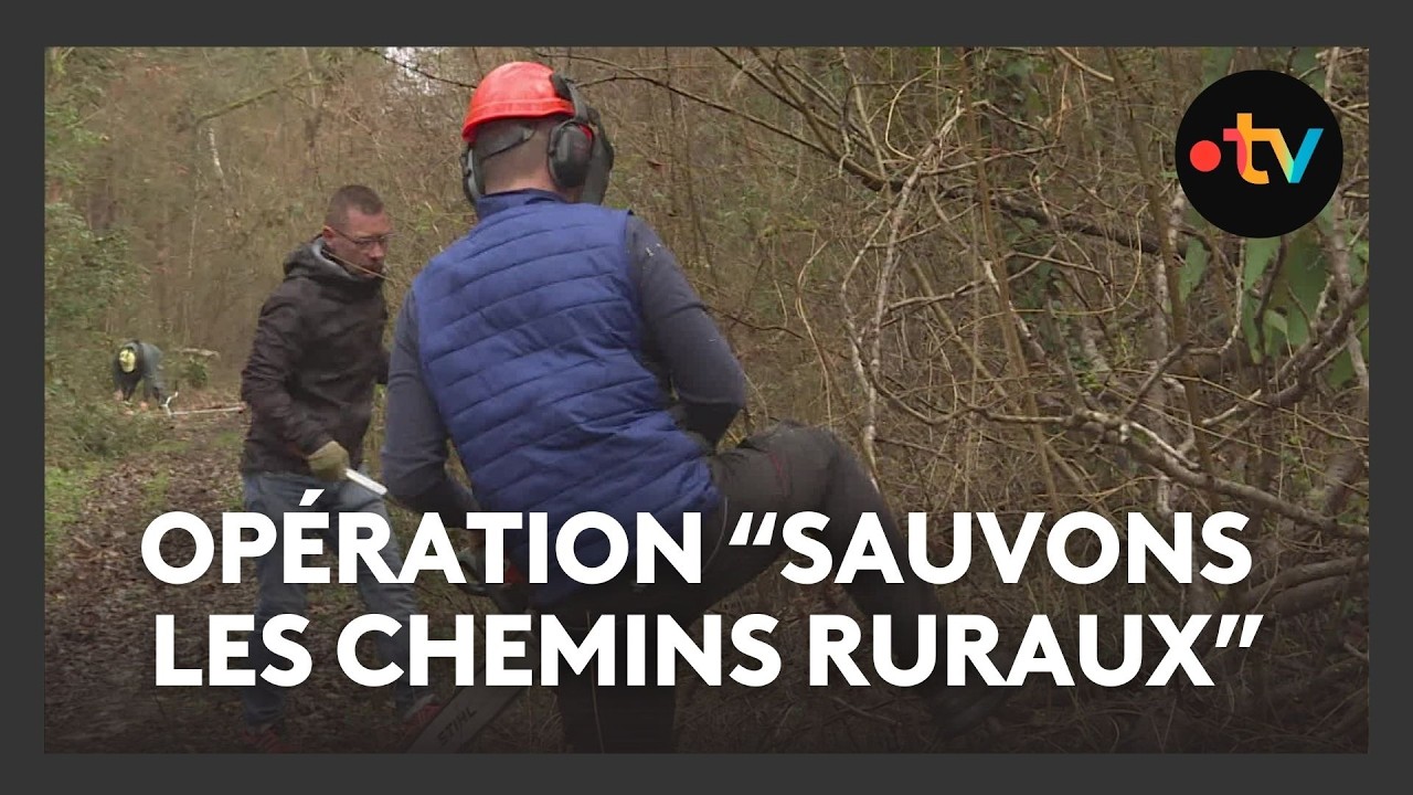 Une opération de nettoyage des chemins ruraux