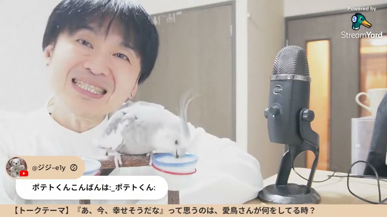 【トークテーマ】『あ、今、幸せそうだな』って思うのは、愛鳥さんが何をしてる時？