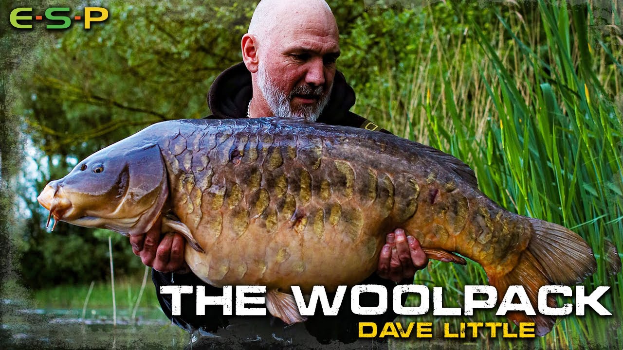 The Woolpack Campaign | Dave Little | Carp Fishing