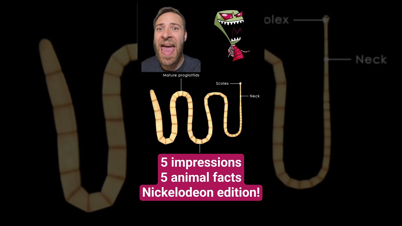 5 impressions, 5 animal facts: Nickelodeon edition!