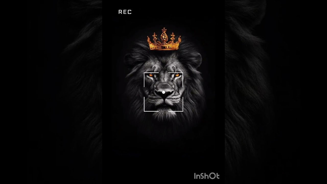 IP2pac x ice prince x BH5 - tatwaibika bwino 