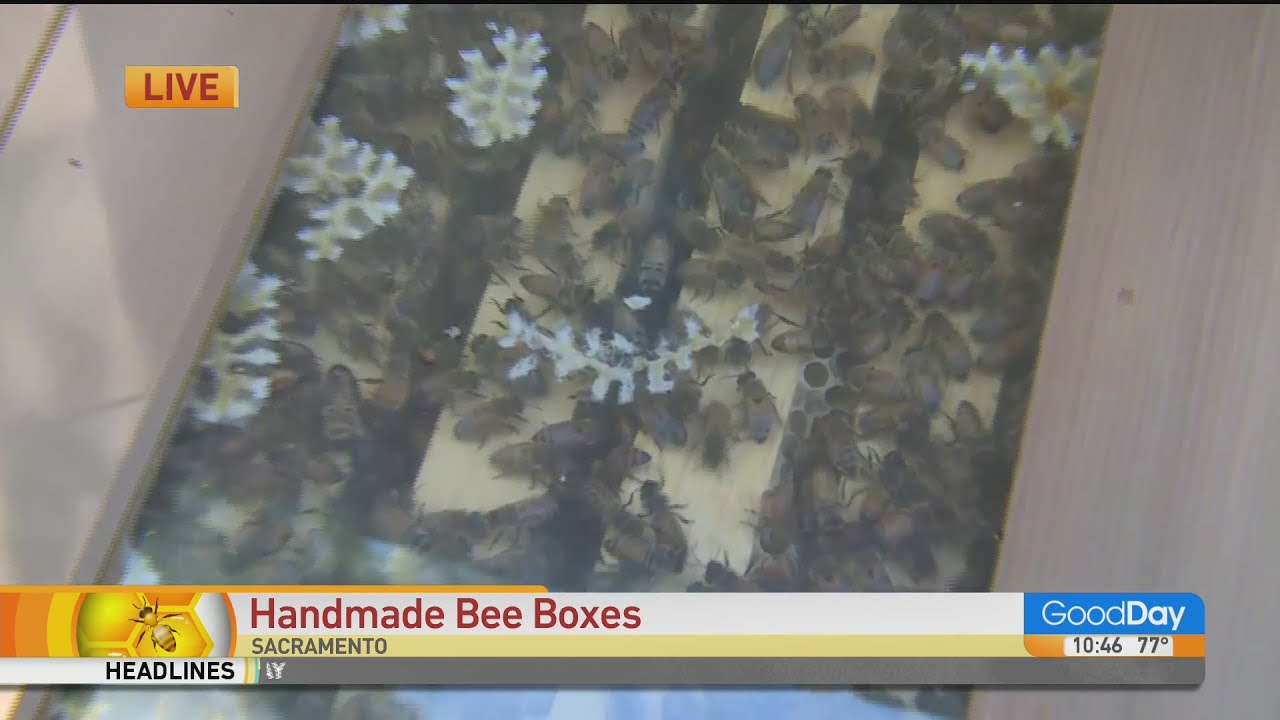 Handmade Bee Boxes