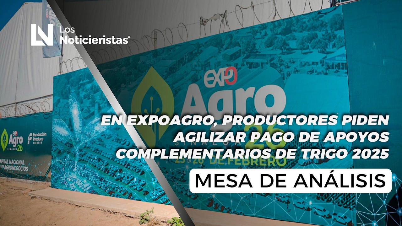 En ExpoAgro, productores piden agilizar pago de apoyos complementarios de trigo 2025