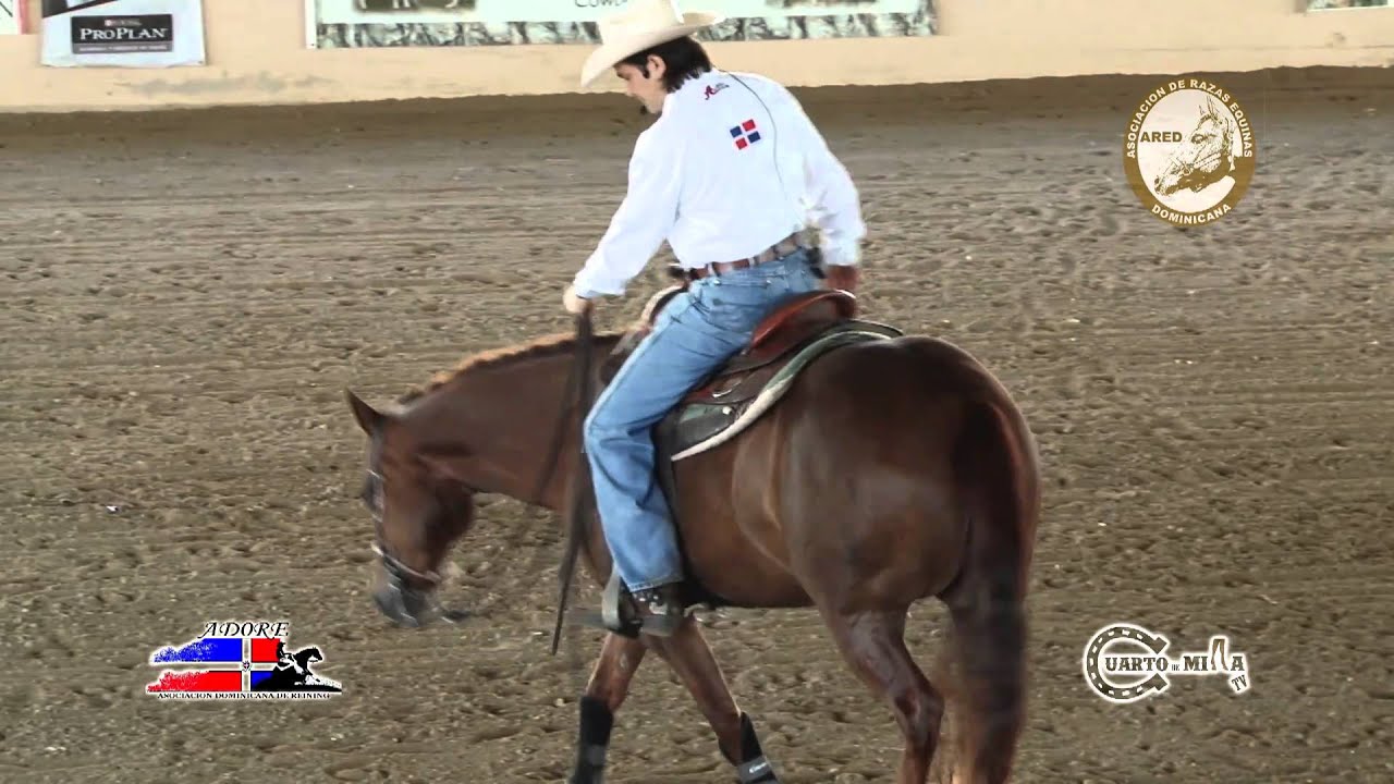 Cuarto de Milla - Como lograr hacer los Turns (Spins de Reining) Correctamente con y Sin Manos