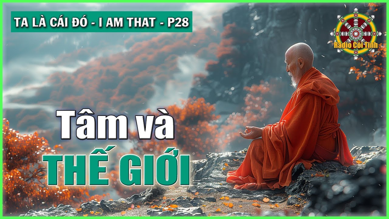 Tâm và Thế Giới không tách biệt | Ta là Cái Đó – phần 28