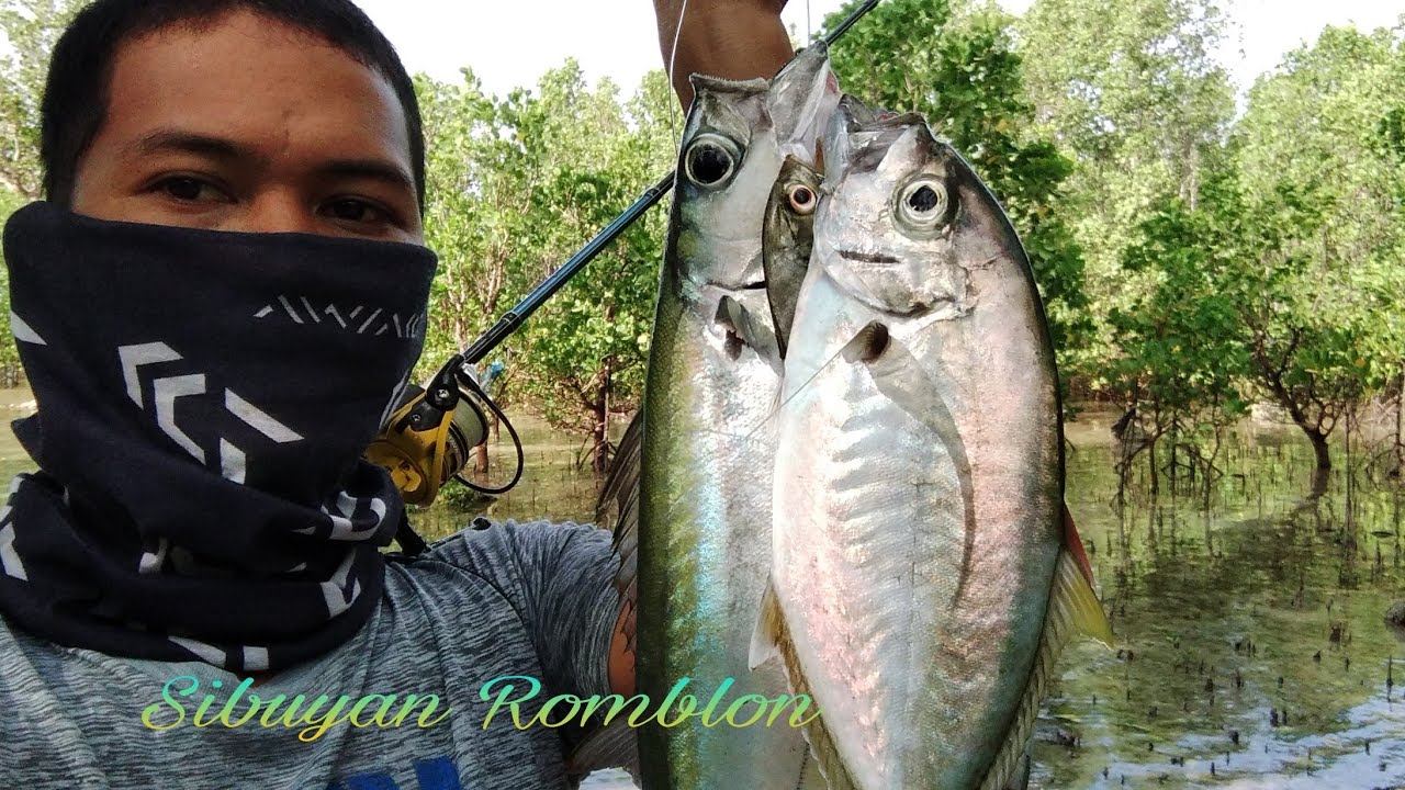 Double line mackerel and trevally. quick fishing