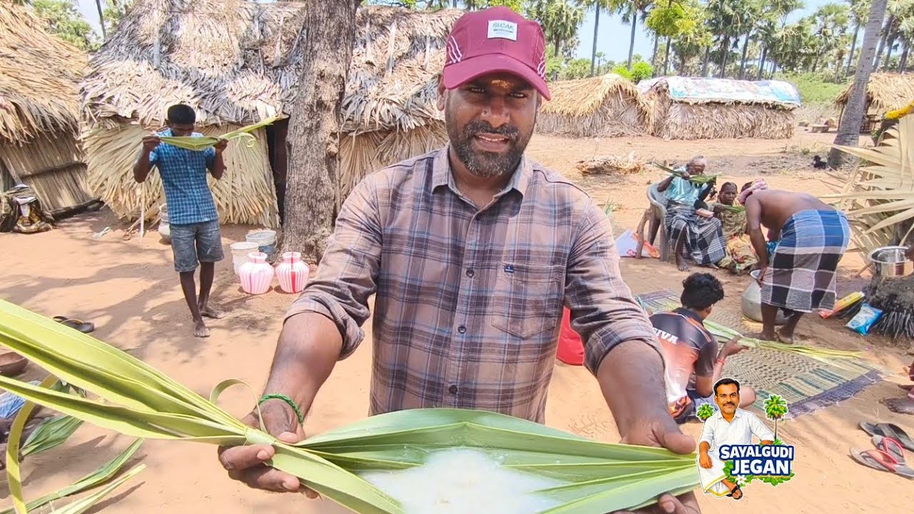 பனங்காட்டுக்குள் பால் பழம் பினைந்து வழிபாடு / Palmyra Farmer traditional culture life 