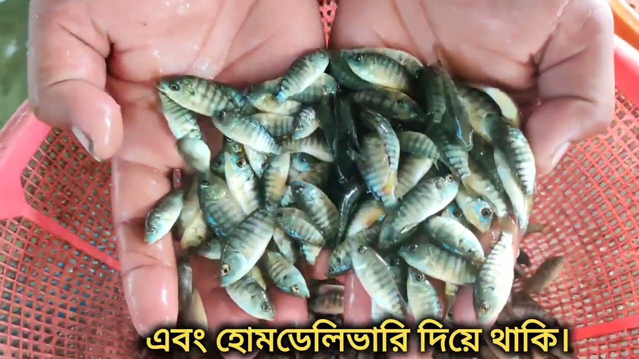 fishing trips best video 2022