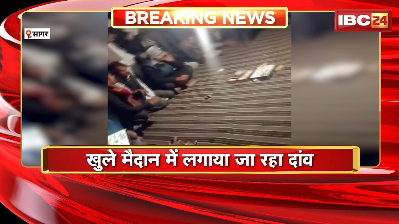 Sagar News: जुआ फड़ का Video Viral | खुले मैदान में लगाया जा रहा दांव | Madhya Pradesh