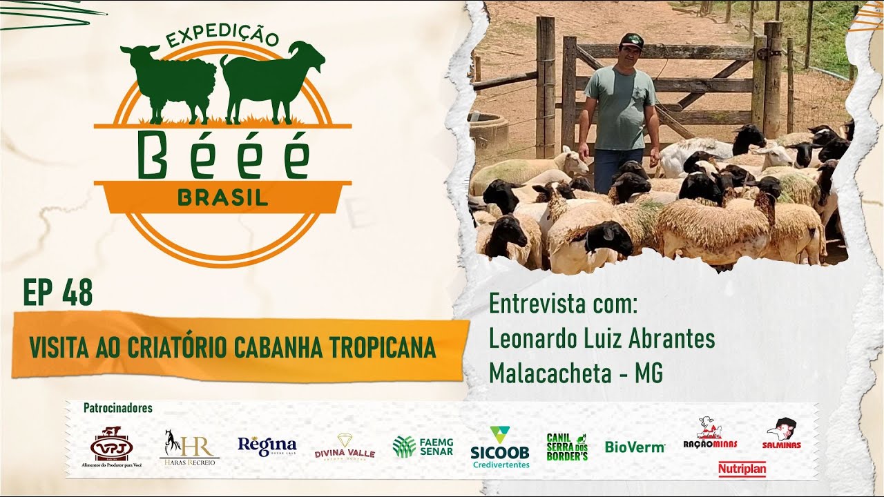 EXPEDIÇÃO BEÉÉ BRASIL EP 48 - VISITA AO CRIATÓRIO CABANHA TROPICANA