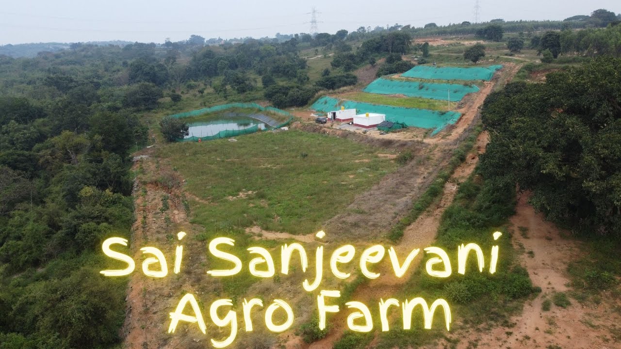 Sai Sanjeevani Agro Farm | Self Managed Farm | Urban Farm | Organic Farming | Thalli Farmland