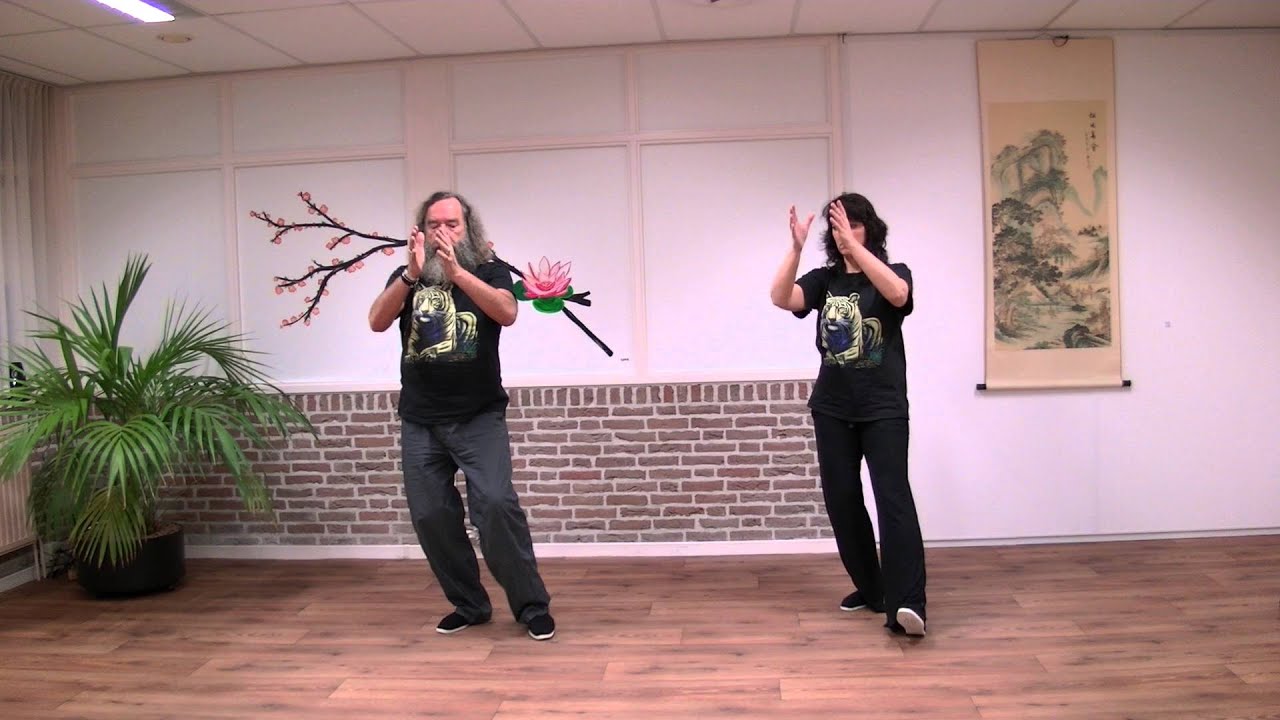 de Harmonie, 5 Elementen Oefening door Tai Chi Tao Drenthe