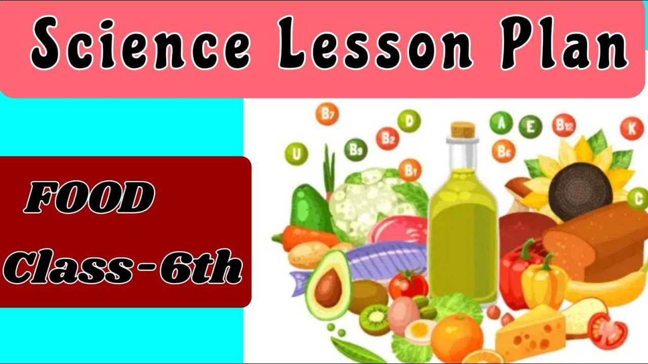 Science Lesson Plan || FOOD-Where does it come from
