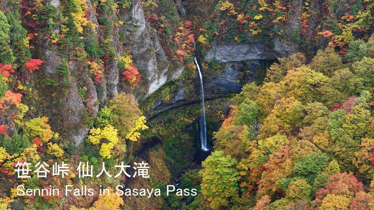 [4K]🍁✨笹谷峠・仙人大滝の紅葉空撮 / Autumn Colors at Sennin Great Falls – Sasaya Pass, Japan