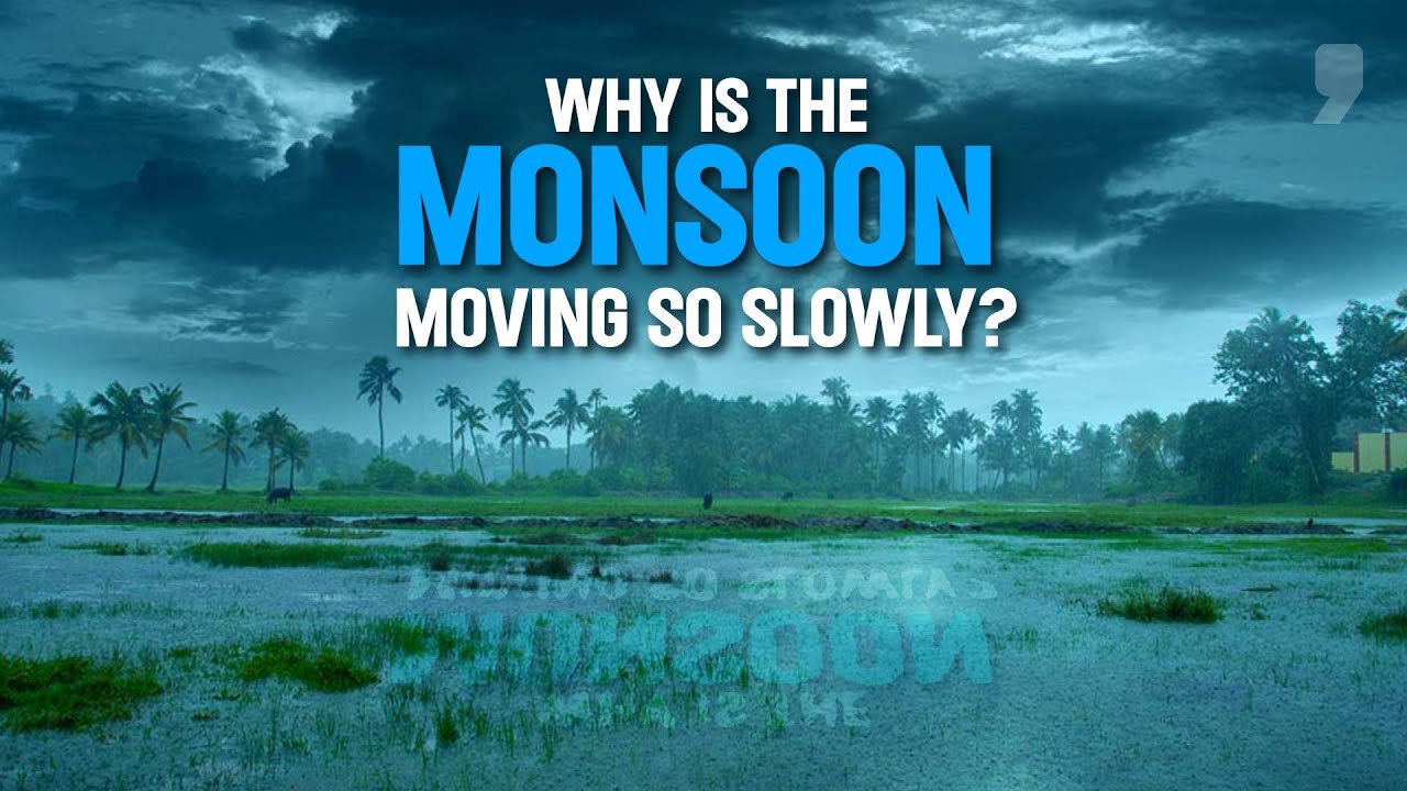 Monsoon Delay: How is The Western Disturbance Holding Up Monsoons? | News9 Plus Decodes