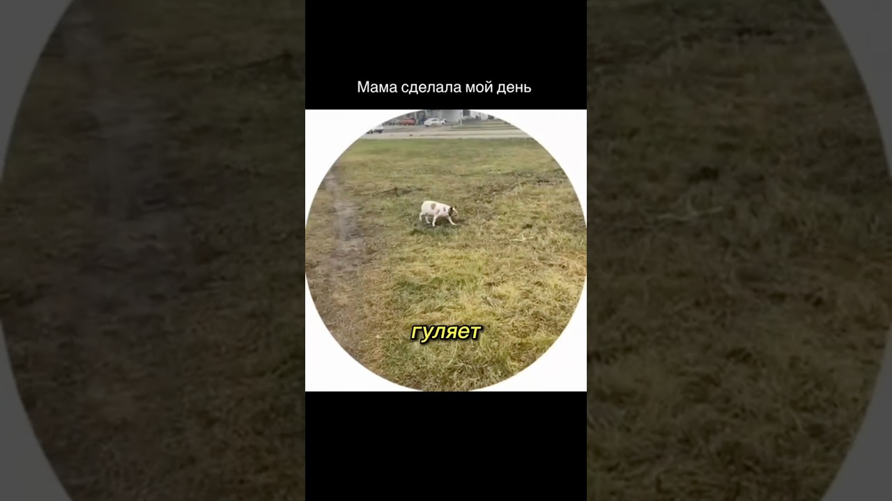 Первая ночь в майнкрафте. Автор видео: @ylylyaaanaaa Смешные комментарии.