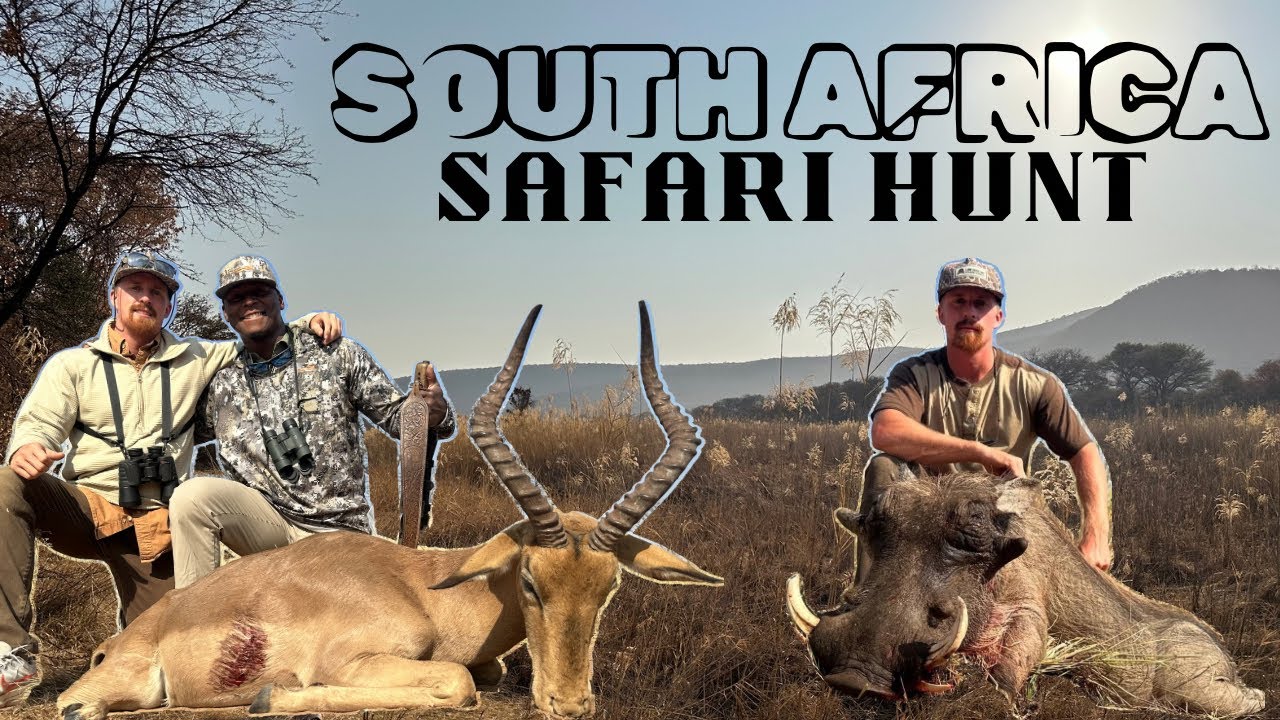 African Safari Hunt - Kuche Safaris - Limpopo, South Africa