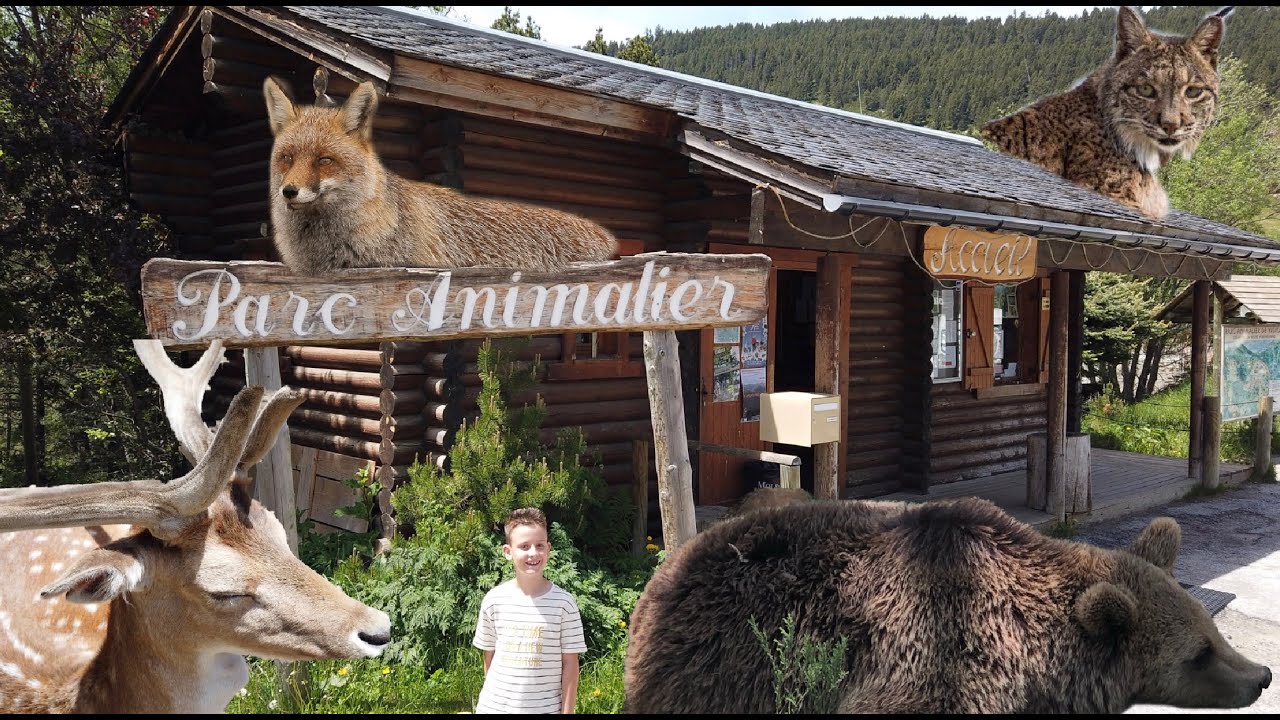 PARQUE DE ANIMALES Les Angles - Francia en 4k