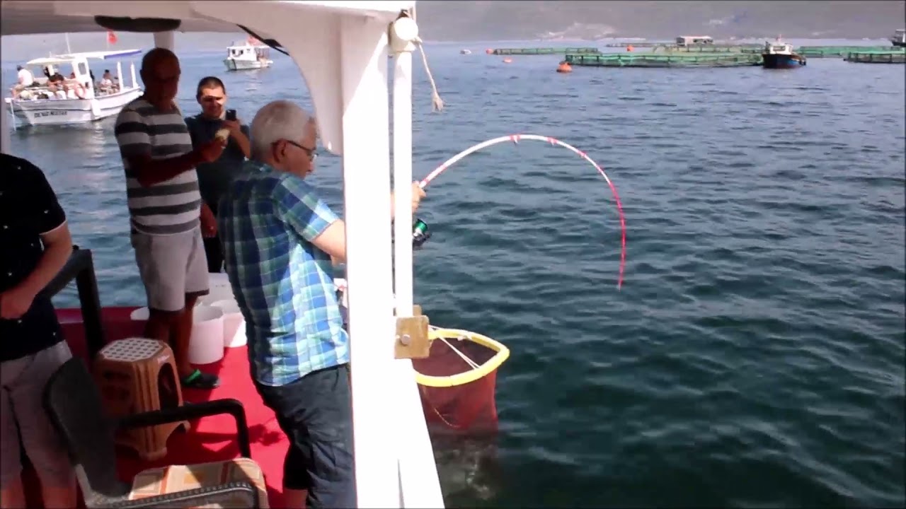 son150 kilo üstü vatos yakaladık.kofanalarla sov yaptık.