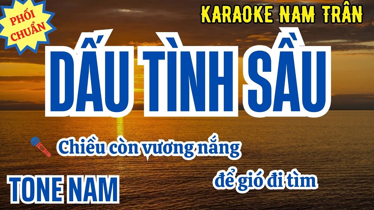 Karaoke Dấu Tình Sầu (Phối Chuẩn 2025) Tone Nam | Nam Trân