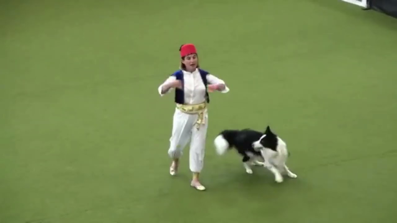 Barbara Schettino e J.J. LaRoche  in Aladdin