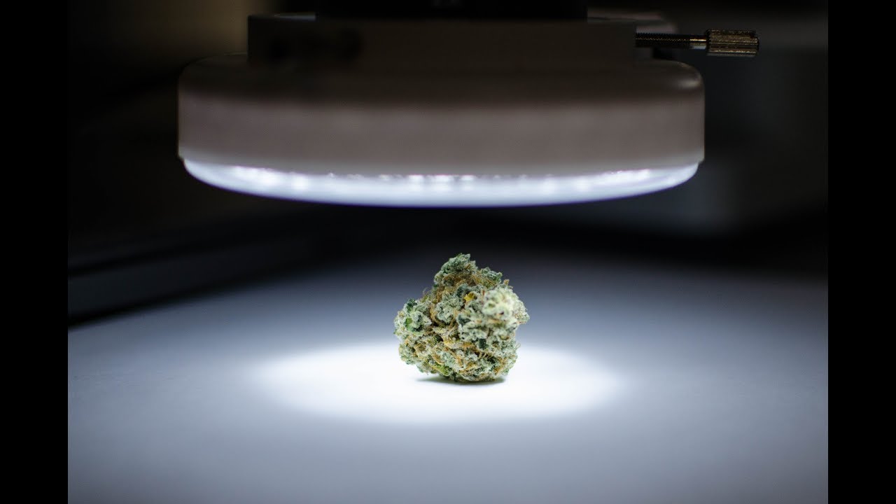 Fluence Innovator | Increasing Efficiency & Production at Amplified Farms with LEDs