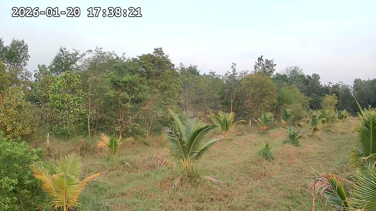 ‎20 ‎มกราคม ‎2569, ‏‎174218