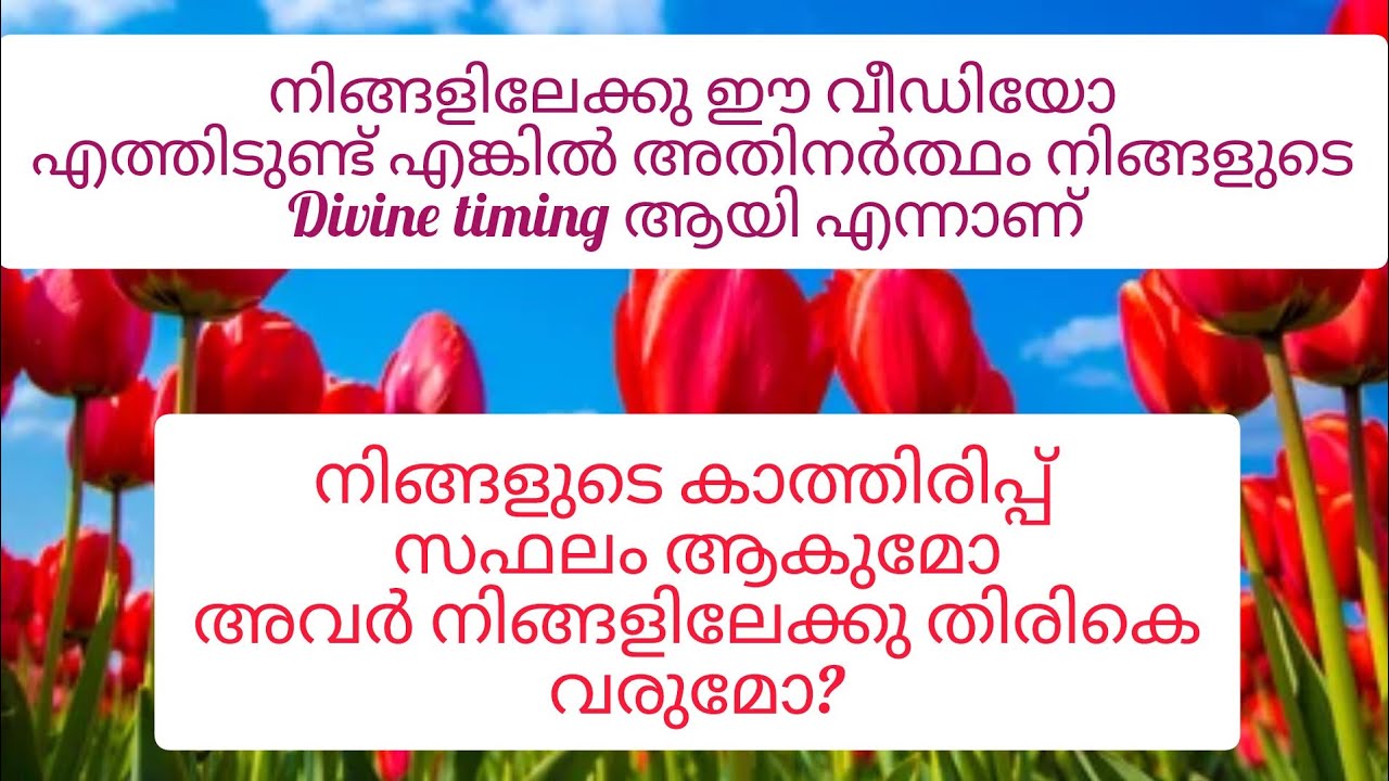 🌺🌺നിങ്ങളുടെ കാത്തിരിപ്പ് സഫലം ആകുമോ.. അവർ നിങ്ങളിലേക്കു തിരികെ വരുമോ? 🌺