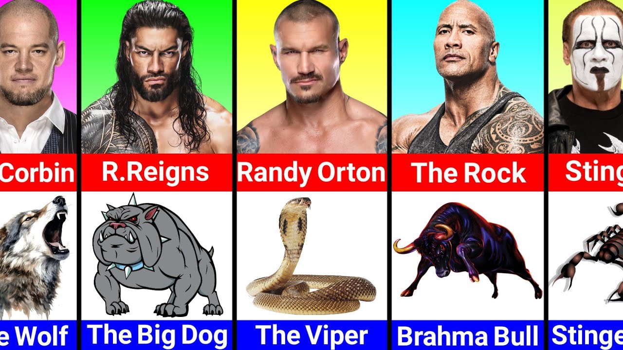 WWE Wrestlers Their Animal Nicknames