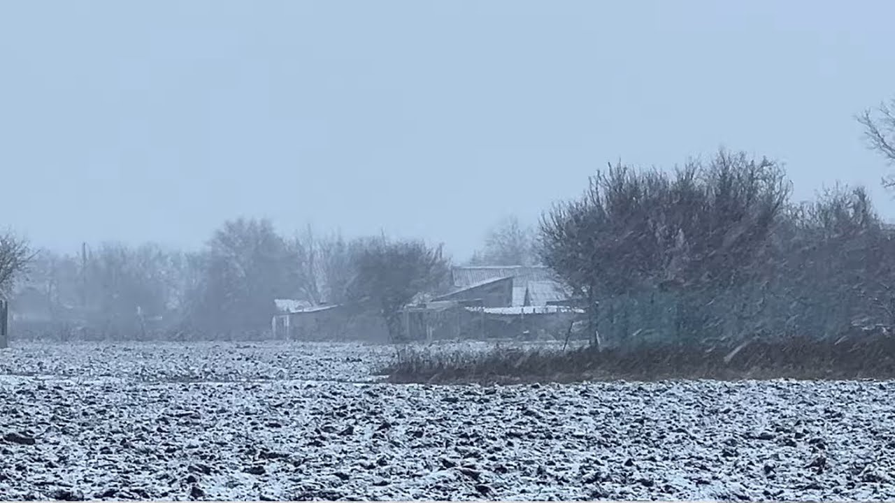 Тихий сніг в селі | ASMR |