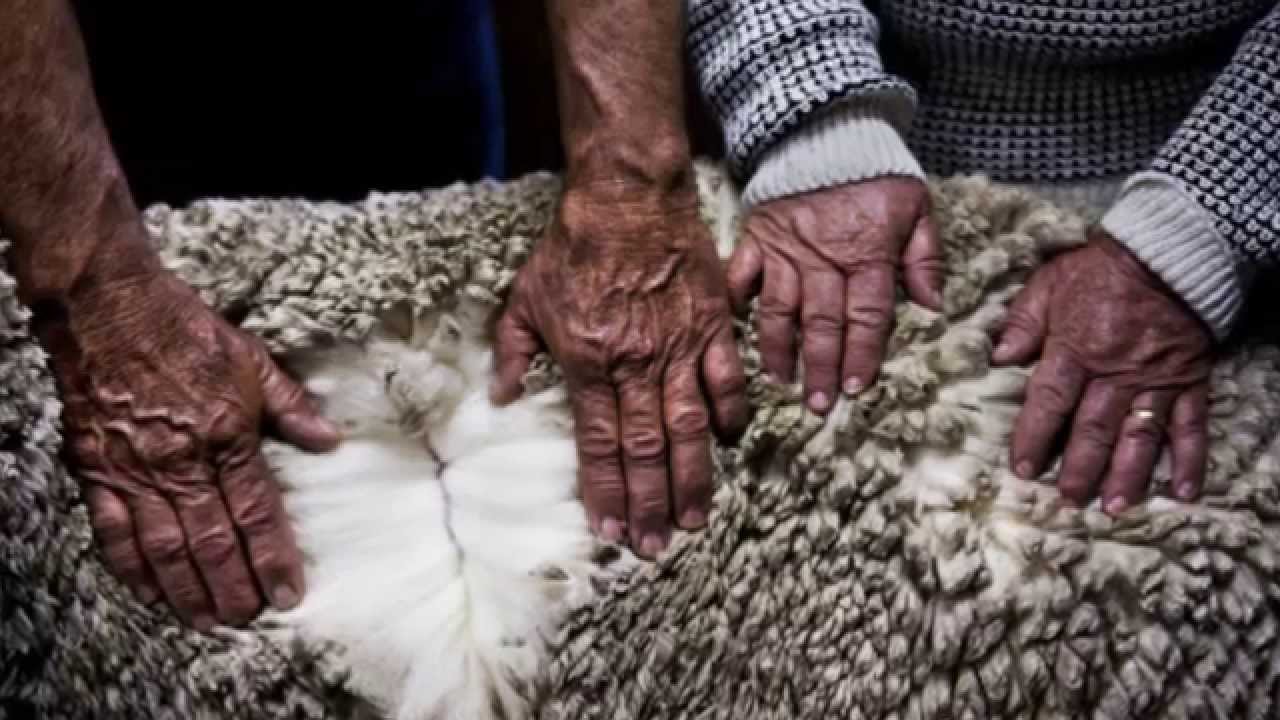 Knitting curiosities | History of Knitting | We Are Knitters