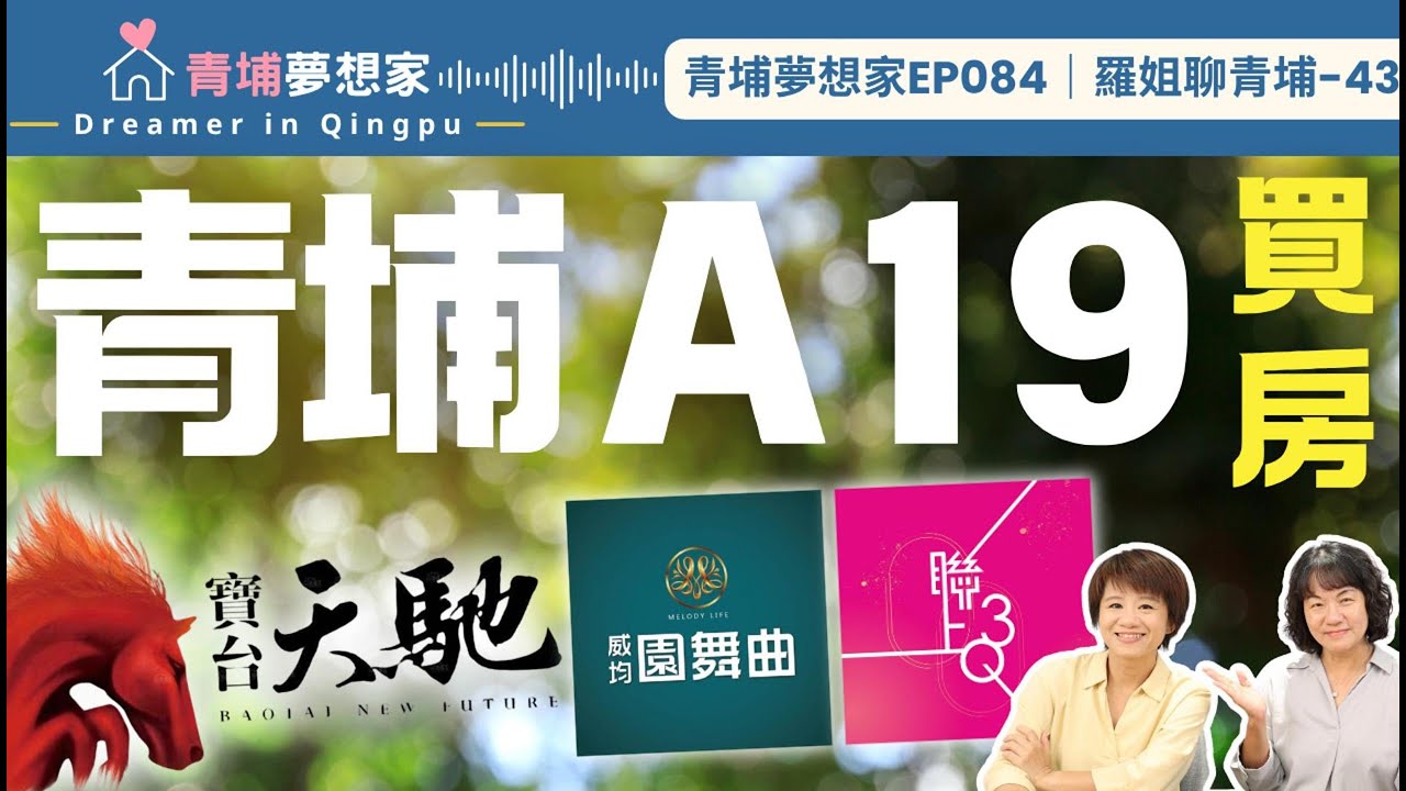 【青埔買房】青埔A19有這些選擇！寶台天馳、威均園舞曲、聯上3Q～你鍾情哪一間？｜青埔夢想家Ep084｜羅姐聊青埔-43