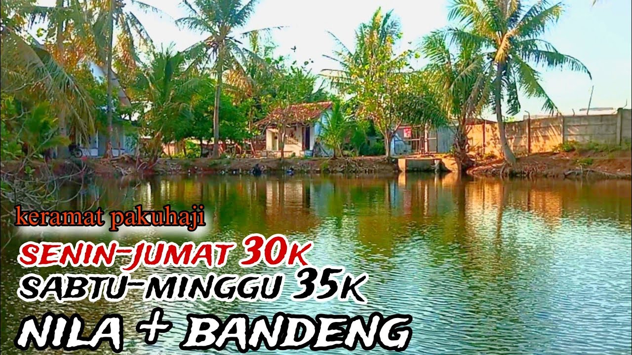 rute spot mancing nila harian + bandeng / keramat pakuhaji.