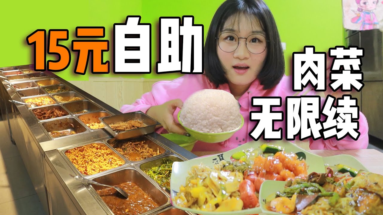 东北凌晨街边盒饭自助！15元一位30多道菜！溜肉段特别香！肉菜素菜随便续！