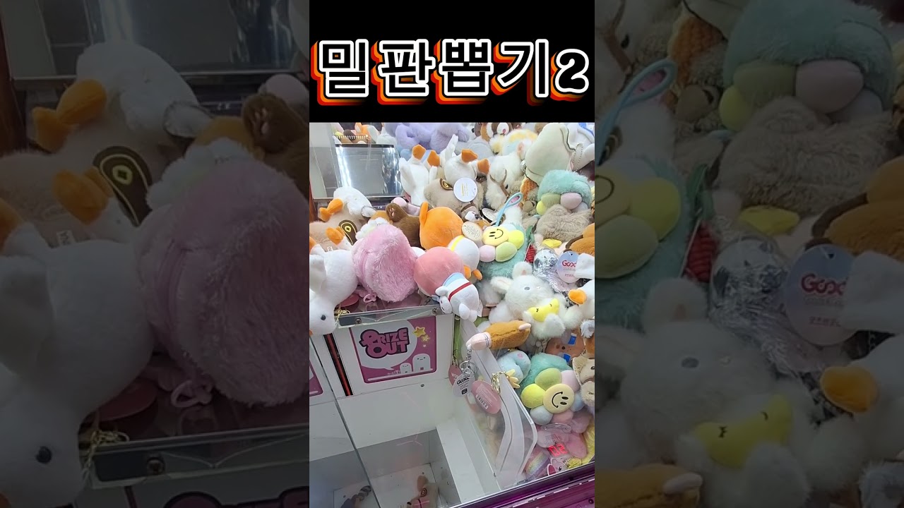 밀판뽑기2)#인형뽑기#좋아요댓글#추천#눌러주세용##구독부탁합니다#키링#구독#쇼츠#알고리즘#유튜브#유튜브쇼츠#거위#너구리#동전지갑#라부부#동기부여#동영상#시청자참여 #동물쇼츠#키링