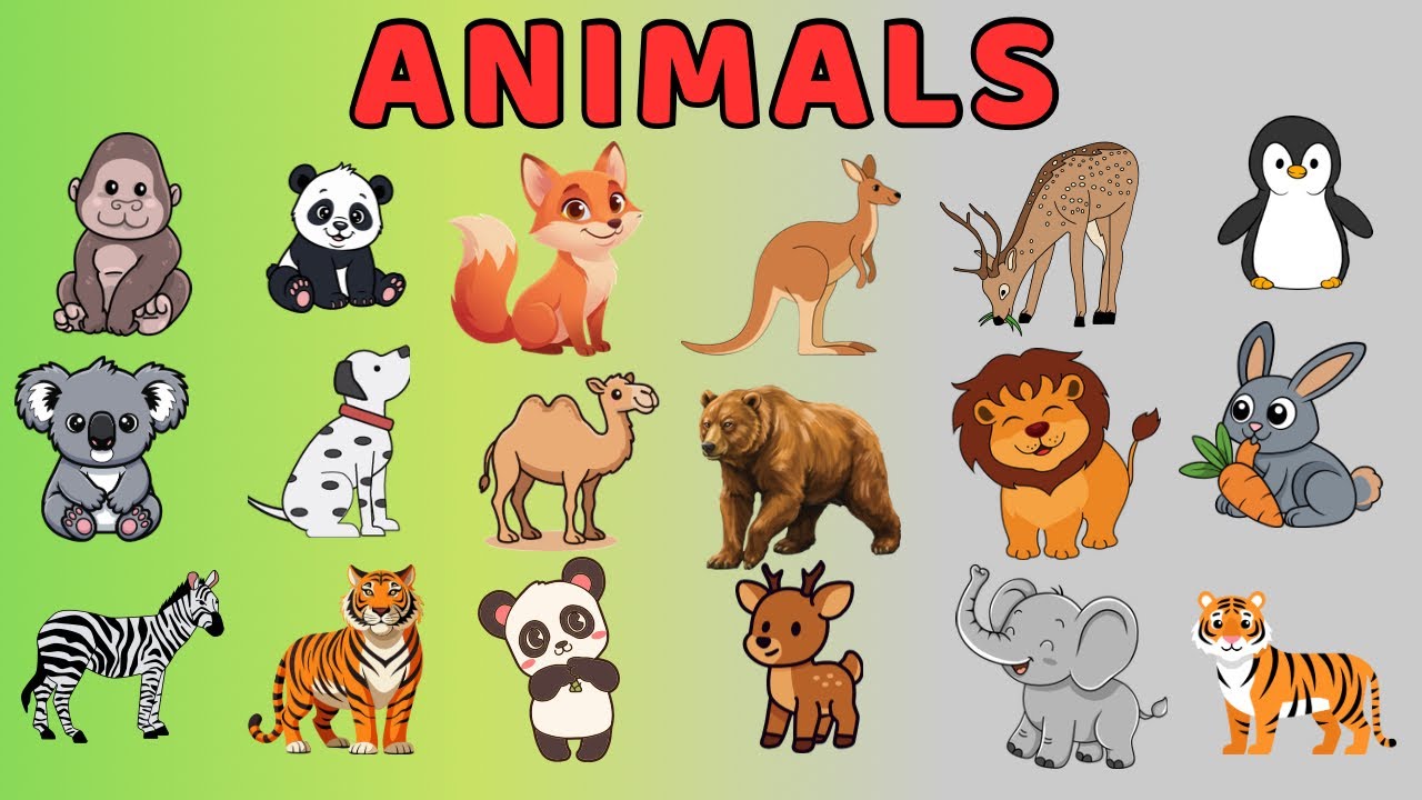 20 Animals Names for Kids | Animals Names for baby