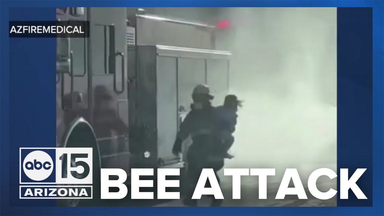 Family attacked by bees in Buckeye