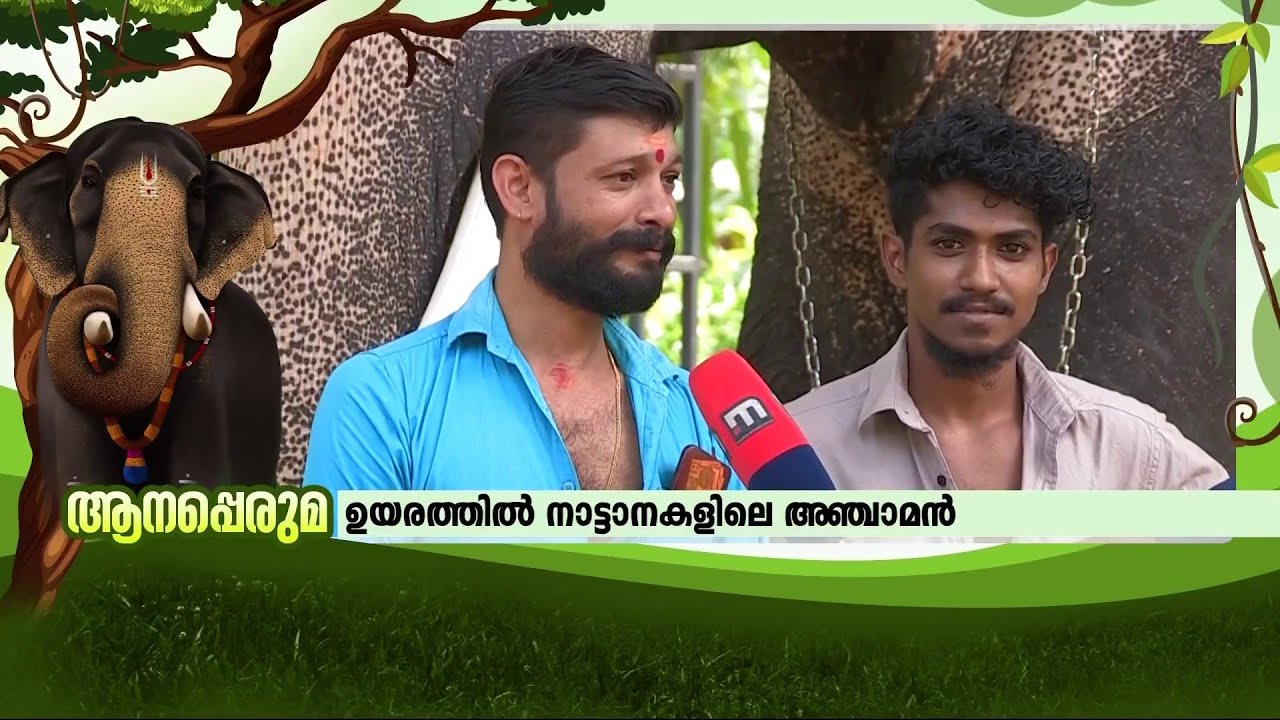 ആനപ്പെരുമയിൽ അഴകോടെ ചെർപ്പുളശ്ശേരിയുടെ സ്വന്തം അനന്തപദ്മനാഭൻ | Cherpulassery Ananthapadmanabhan |
