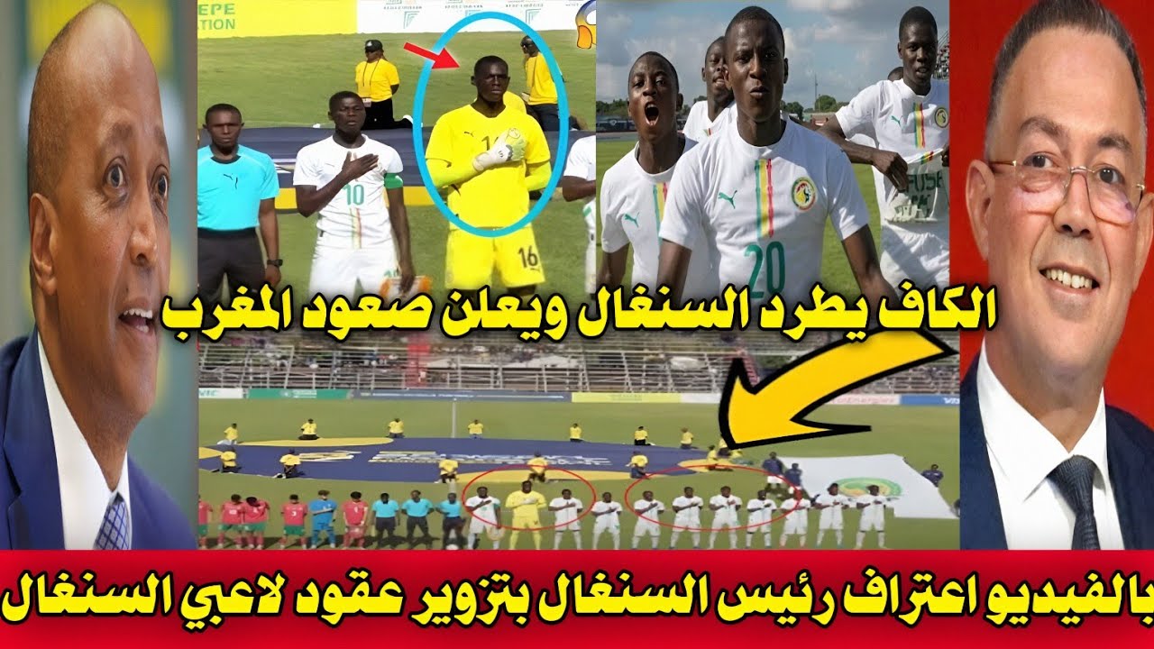 بالفيديو 🇲🇦 الكاف يعلن تاهل المغرب تحت 15 عام  السنغال بعد الاعتراف بتزوير عقود اللاعبين امام المغرب