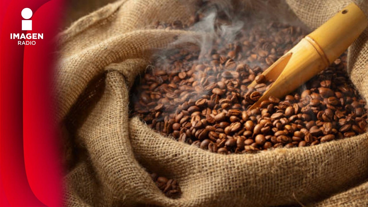 La historia del café |  QTF