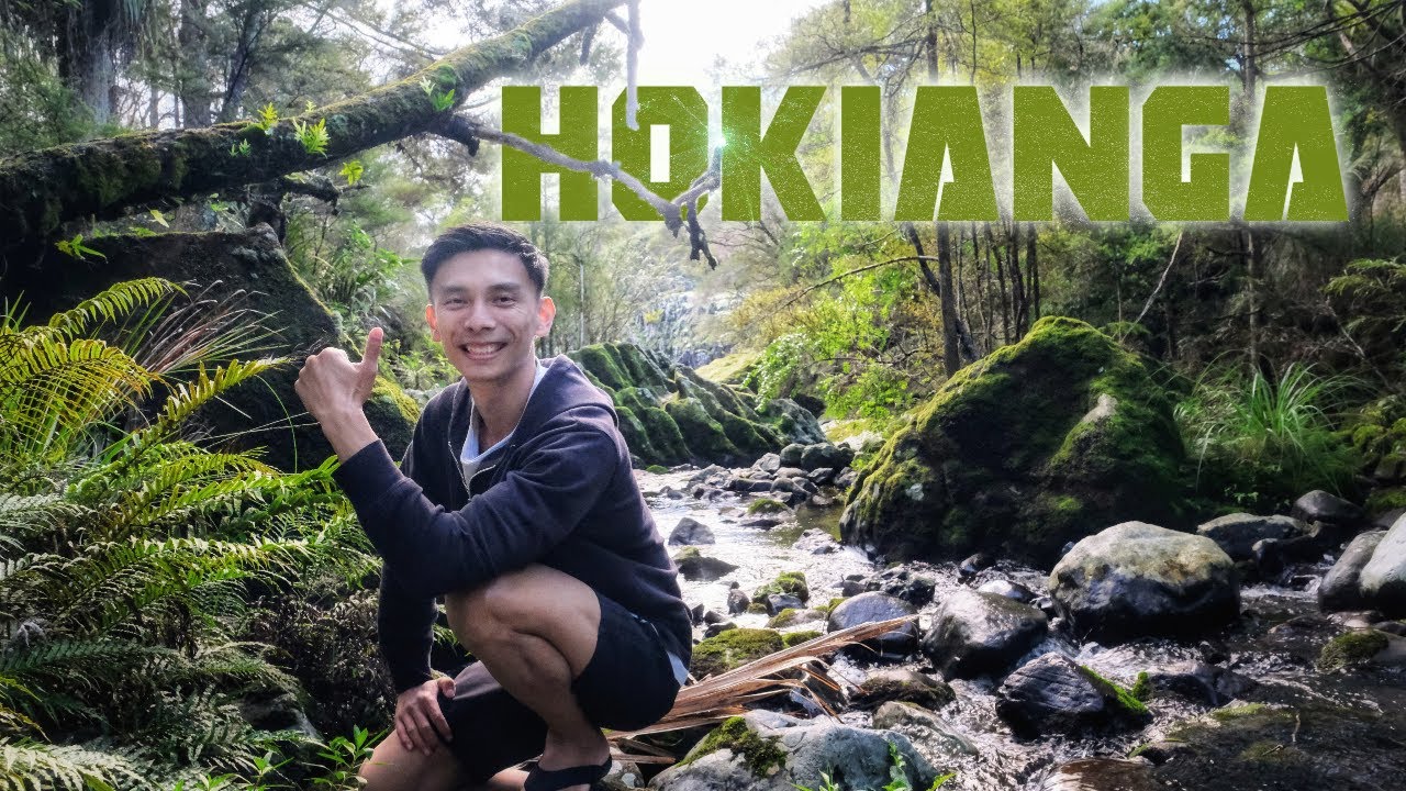 Lord of the Forest - Tāne Mahuta in HOKIANGA, New Zealand | NORTHLAND NZ ROAD TRIP VLOG 3/3