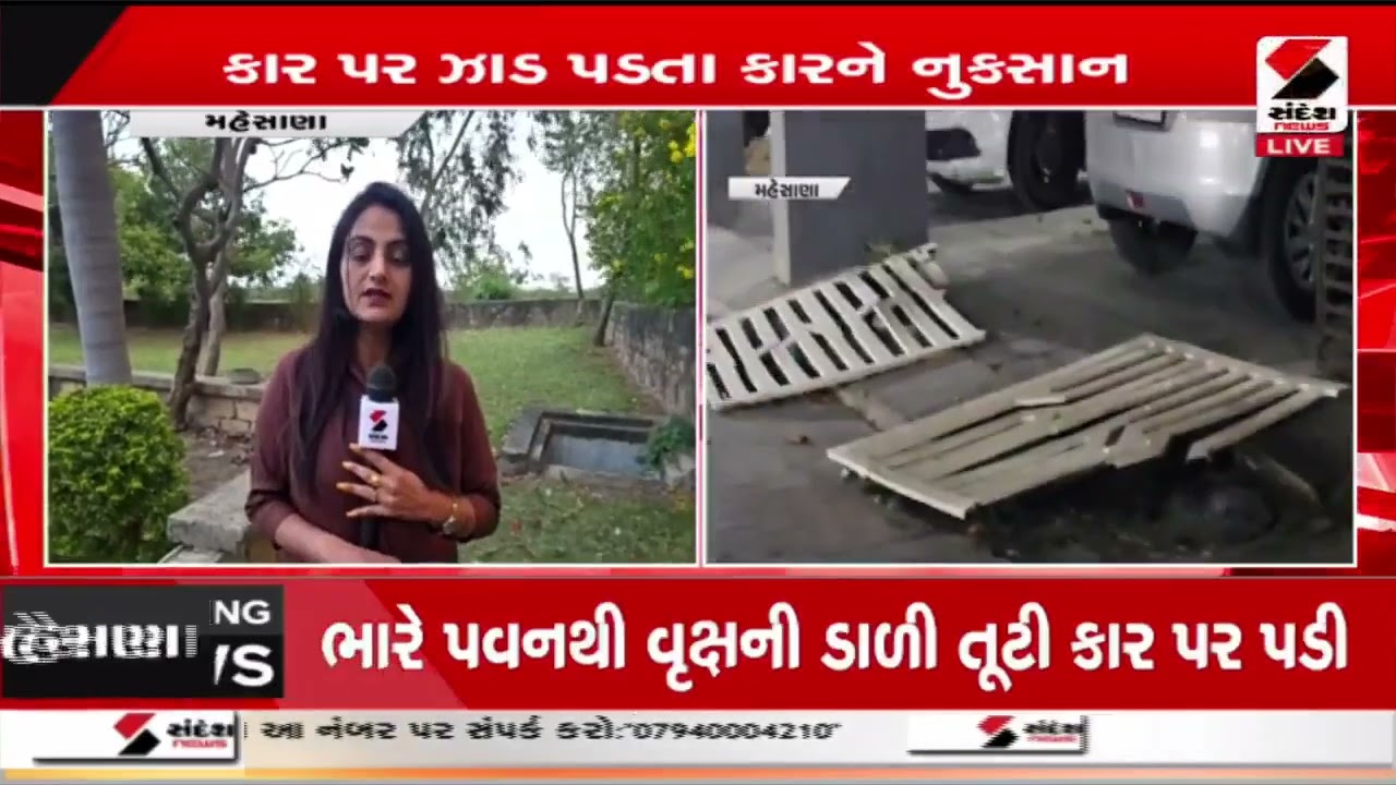 Mehsana | મહેસાણામાં ભારે પવન ફૂંકાતા વૃક્ષ ધરાશાયી  | Strong Winds | Weather Alert | Gujarat